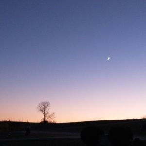 Meet your Posher, Shane